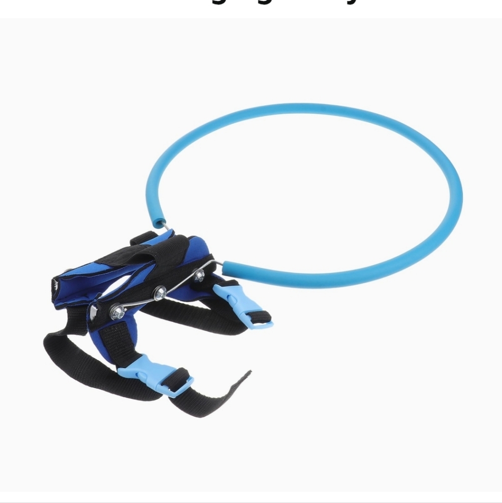 Blind Dog Halo Harness